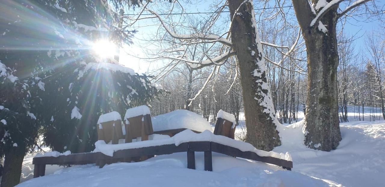 Penzion Harry Na Sjezdovce Krkonose Vysoké nad Jizerou 외부 사진
